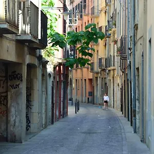 Housing Ginesta 9 Apartament